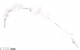 服饰-流坠星花.png