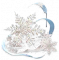 纯白绽放.png