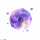 引力微尘.png