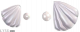 服饰-浅浪献珍.png