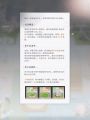 日落之前 誓言之后-心愿礼筑 (1).jpg