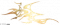 服饰-星火余烬.png