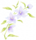 青语·花枝.png