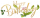 生日字牌·浮光.png