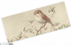 曼调胶带·三.png