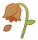 黄豆豆：凋零.png