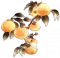 如意柿.png