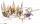 曦光王冠.png