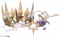 曦光王冠.png