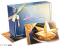 遇岁折春礼·三.png