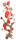 枝上梅.png