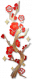 枝上梅.png