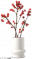 红果新禧.png