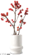 红果新禧.png