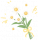 雏菊花束.png