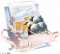 双影见证礼·四.png