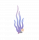 幽蓝海草.png