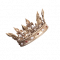 服饰-耀金王冠.png