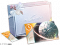 双影见证礼·二.png