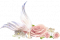 春日鱼尾.png