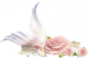 春日鱼尾.png