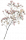 曼调·花簇.png