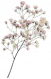 曼调·花簇.png
