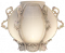 蛋圆形.png
