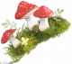 服饰-红蘑菇森林.png