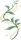 灵草芳菲.png