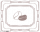 曼调印章·三.png