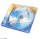 飞行员塔塔碟片.png