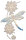 蜓戏莲.png