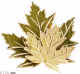 糖枫叶.png