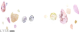 服饰-沉珠.png