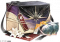 星守馈礼·四.png