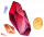 龙巢遗珍.png