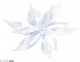 晶莹雪花.png