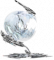 银辉树果果核.png