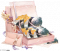 煦风信步礼·五.png