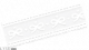 挚年胶带·一.png