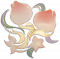 粉黛桃.png