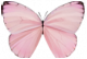 粉蝶·雾粉.png