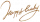 生日字牌·金.png