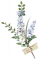 薰衣草.png