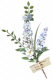 薰衣草.png