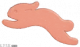 奔跑吧兔兔.png
