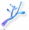 晶化树枝.png
