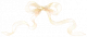 挚年·流光丝带.png