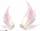服饰-轻漪.png